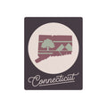 Connecticut metal wall art with oval design and mauve & sage map silhouette on dark square