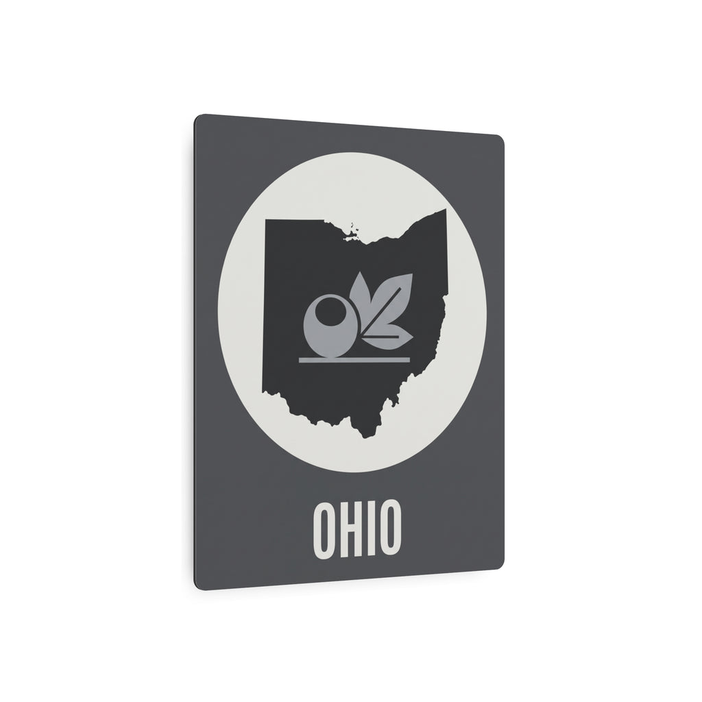 Ohio metal wall art sign in dark gray with oval emblem, leaf icon, and “OHIO” wordmark.
