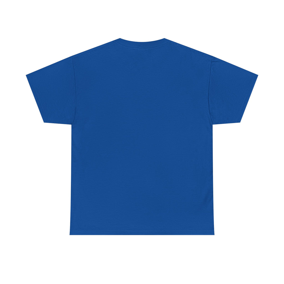 Light blue crewneck T-shirt, plain back, short sleeves.
