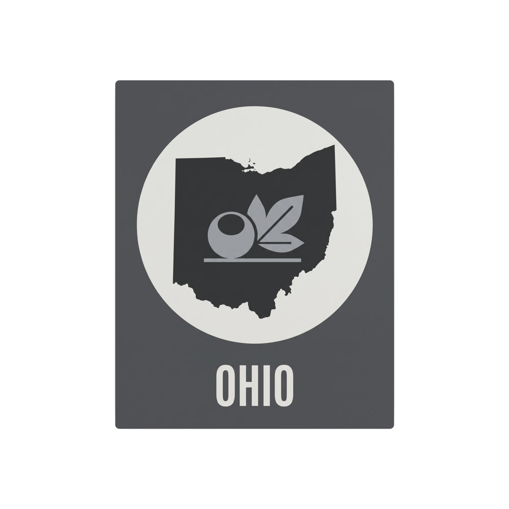 Ohio metal wall art sign, dark gray rectangle with circular emblem, leaf icon, and “OHIO”.
