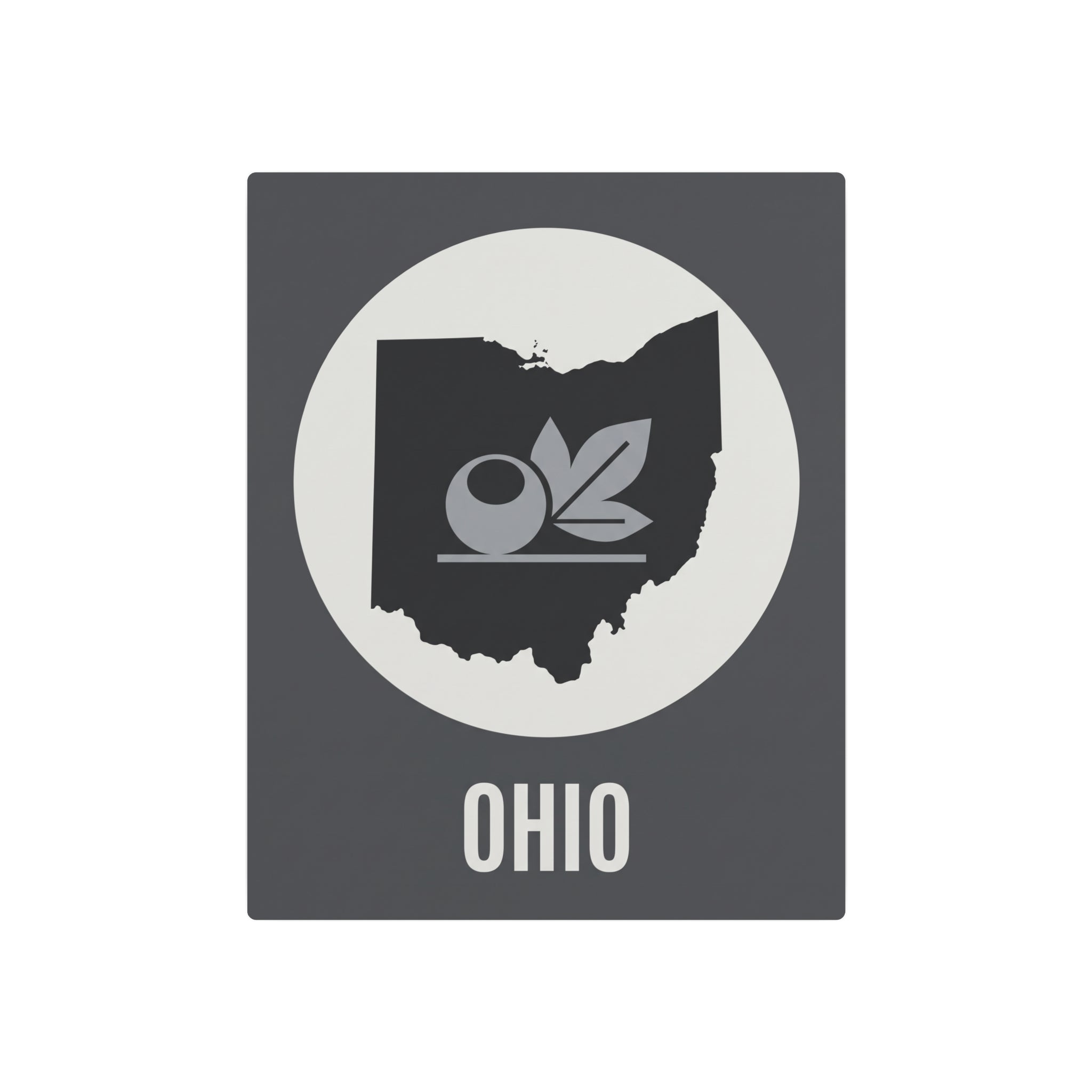 Ohio metal wall art sign, dark gray rectangle with circular emblem, leaf icon, and “OHIO”.
