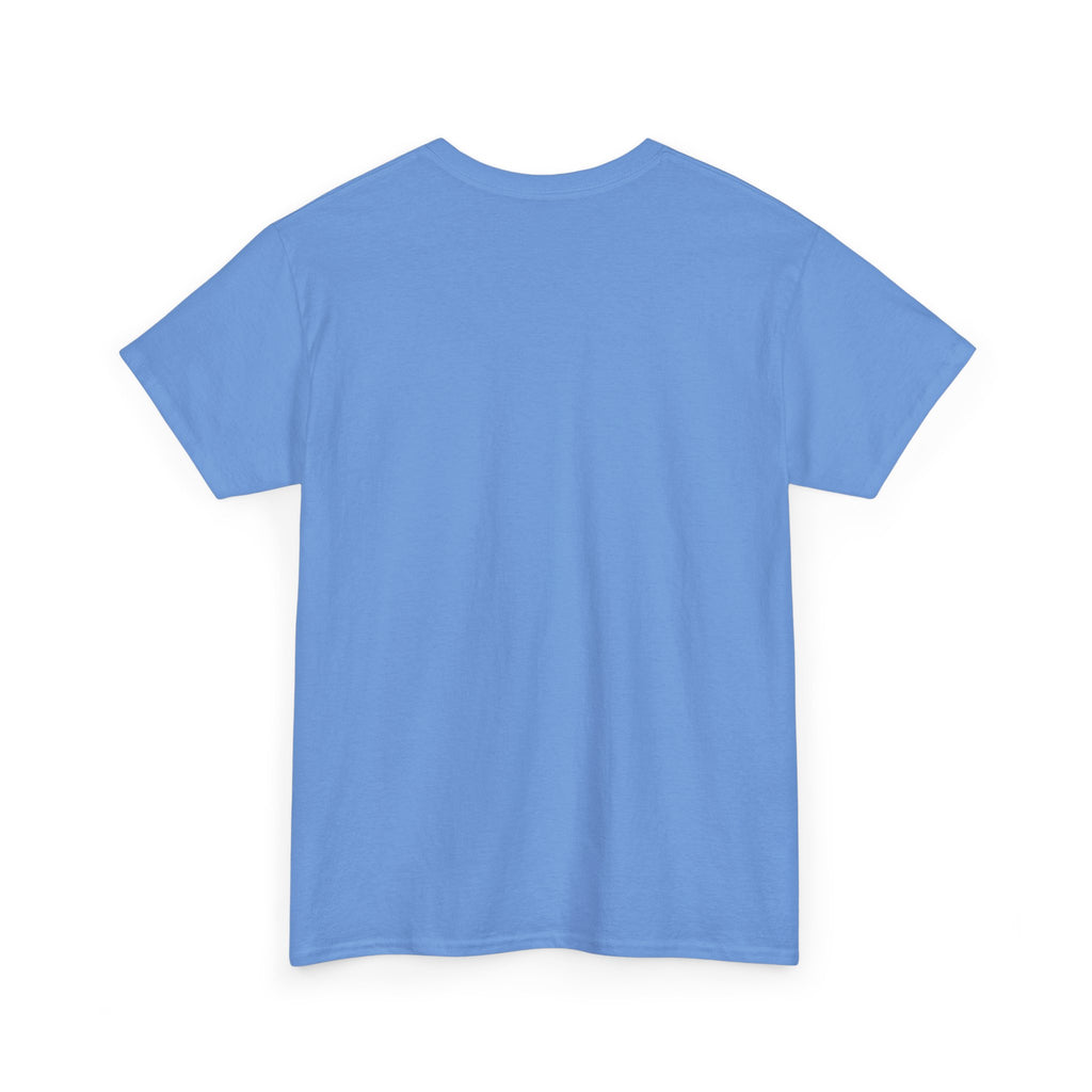Light blue crew neck t-shirt, short sleeves, plain front.