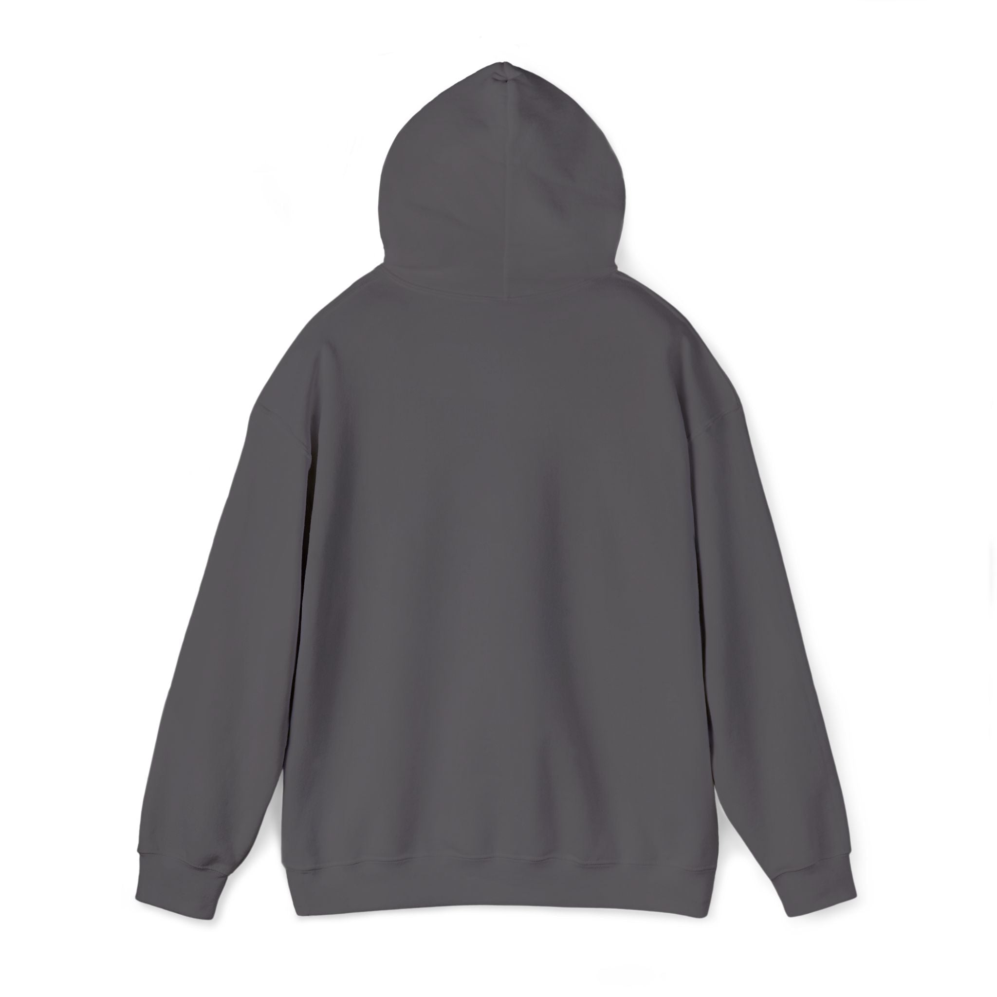 Nautical floral seahorse hoodie, dark gray, pullover style, back view with hood