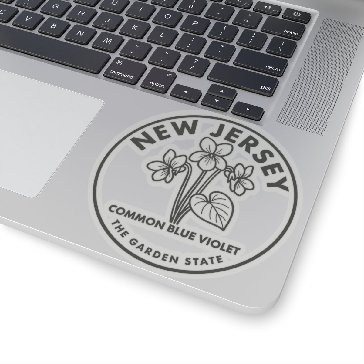 Transparent vinyl decal showing New Jersey common blue violet on a laptop lid