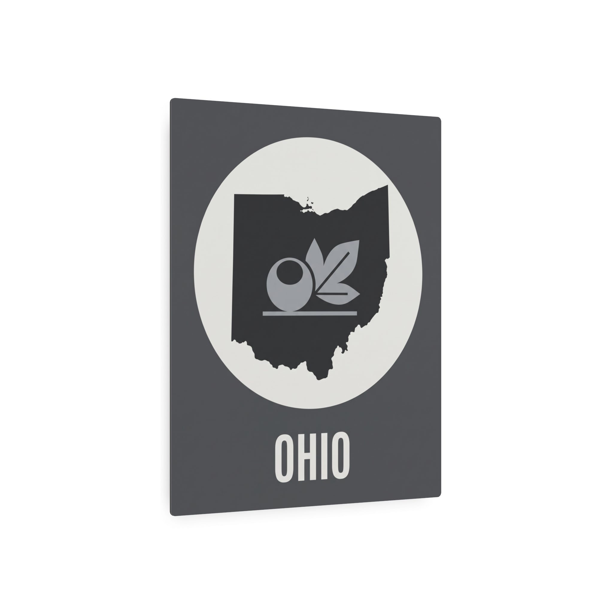 Ohio metal wall art sign with dark gray rectangle, circular emblem, leaf icon, and “OHIO”.