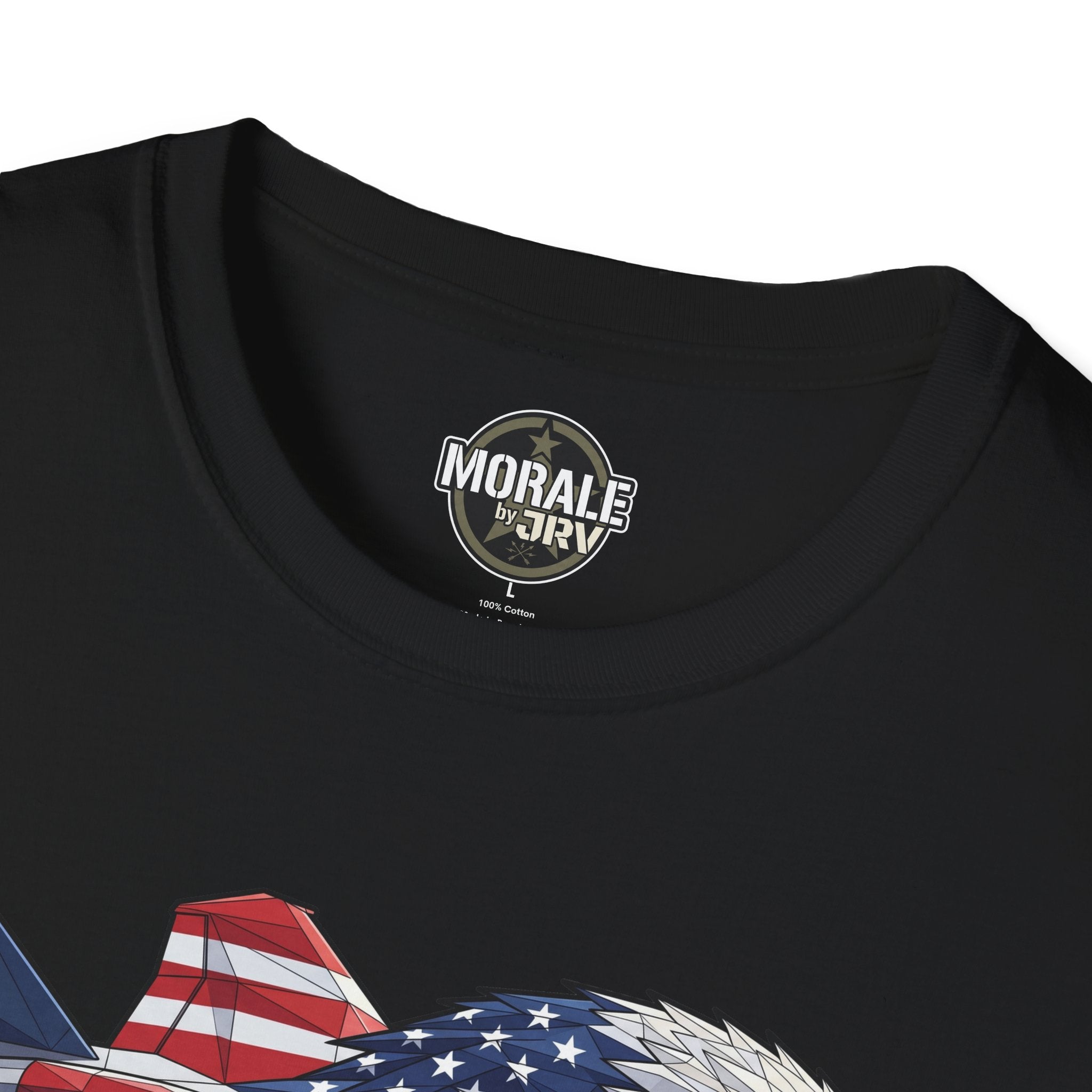 Black T-shirt close-up: eagle head with stars-and-stripes plane graphic