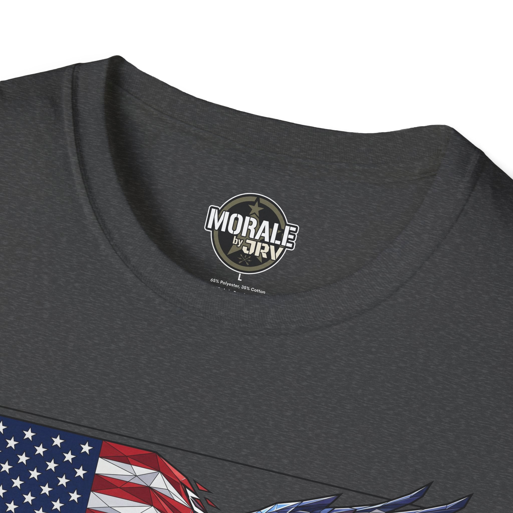 Close-up: patriotic eagle flag graphic T-shirt neckline and partial front print