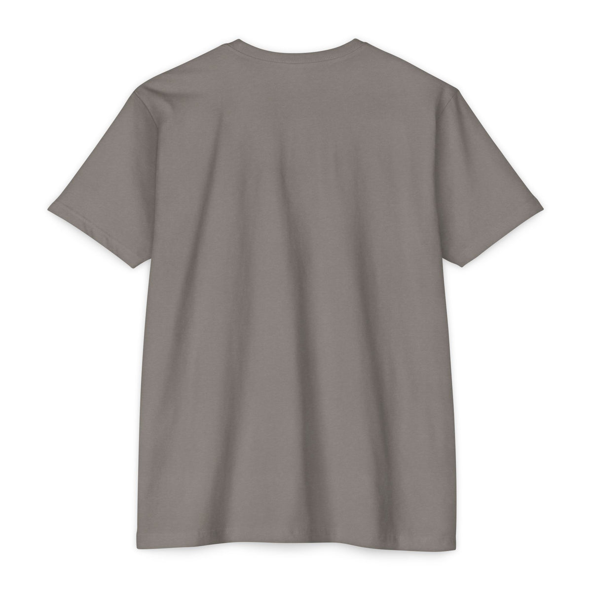Men's mountain climber t-shirt, medium gray, crew neck short sleeves (front view)