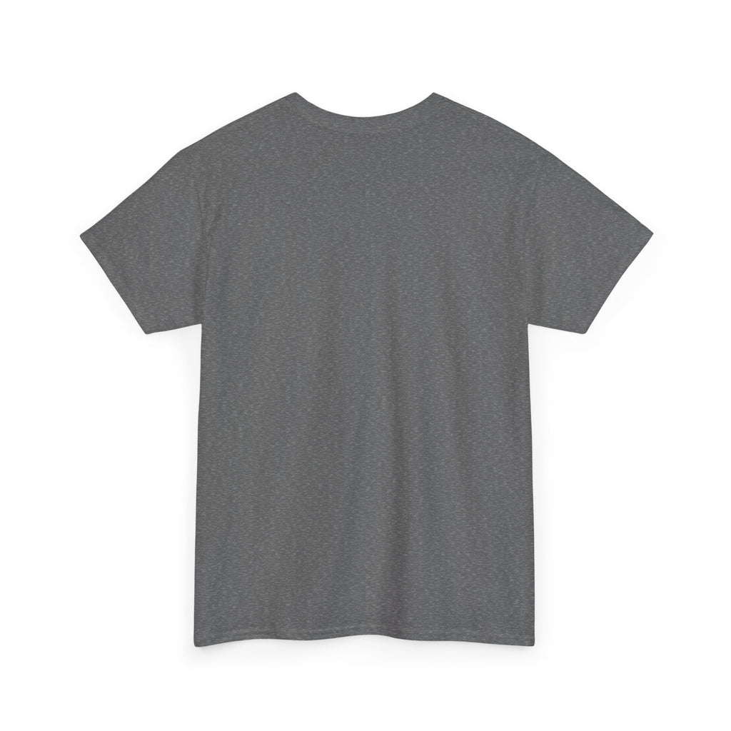 National Park After Dark Campfire Concert T-Shirt, Bear and Elk Mountain Camping Shirt for Men and Women, Hiking Gift Tee