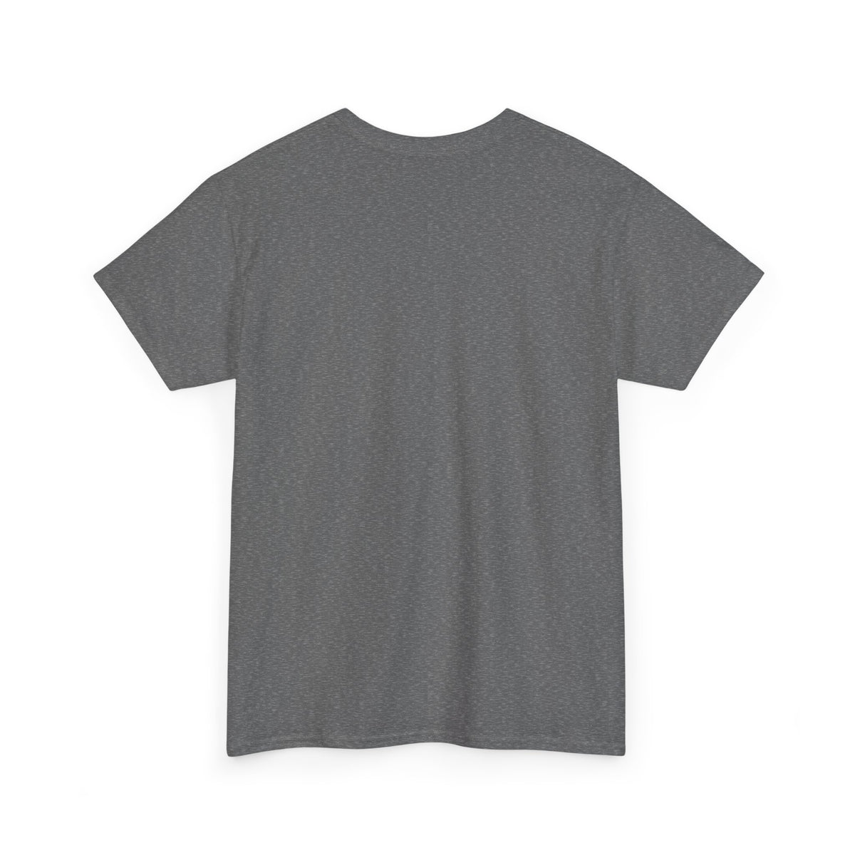 National Park After Dark Campfire Concert T-Shirt, Bear and Elk Mountain Camping Shirt for Men and Women, Hiking Gift Tee