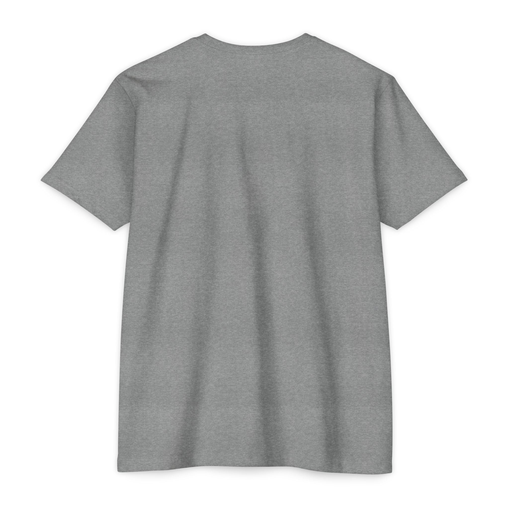 Gray unisex T-shirt, front view with no visible print
