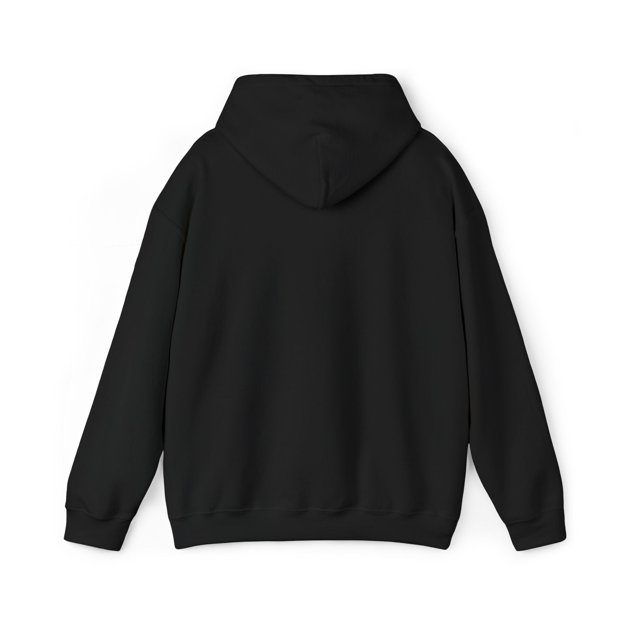 Black hoodie with hood and long sleeves, back view (front graphic not visible)