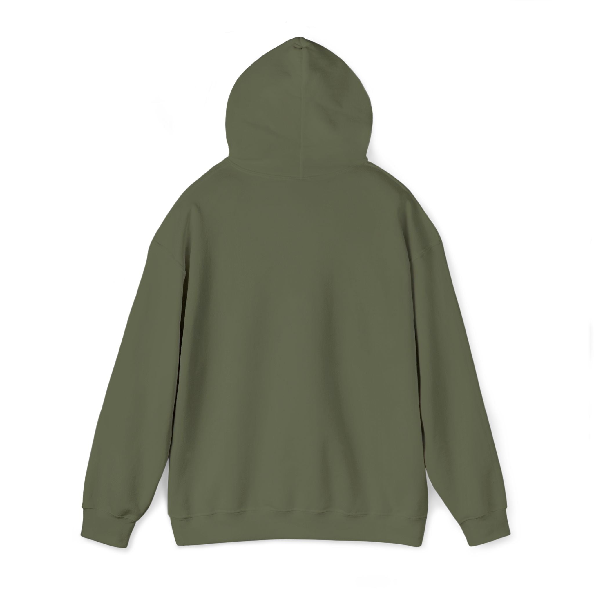 Olive green hoodie sweatshirt with drawstring hood, shown from the back