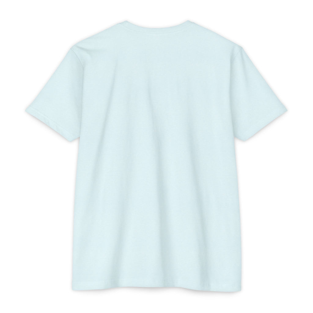 Ice blue T-shirt, crew neck with short sleeves, plain front.