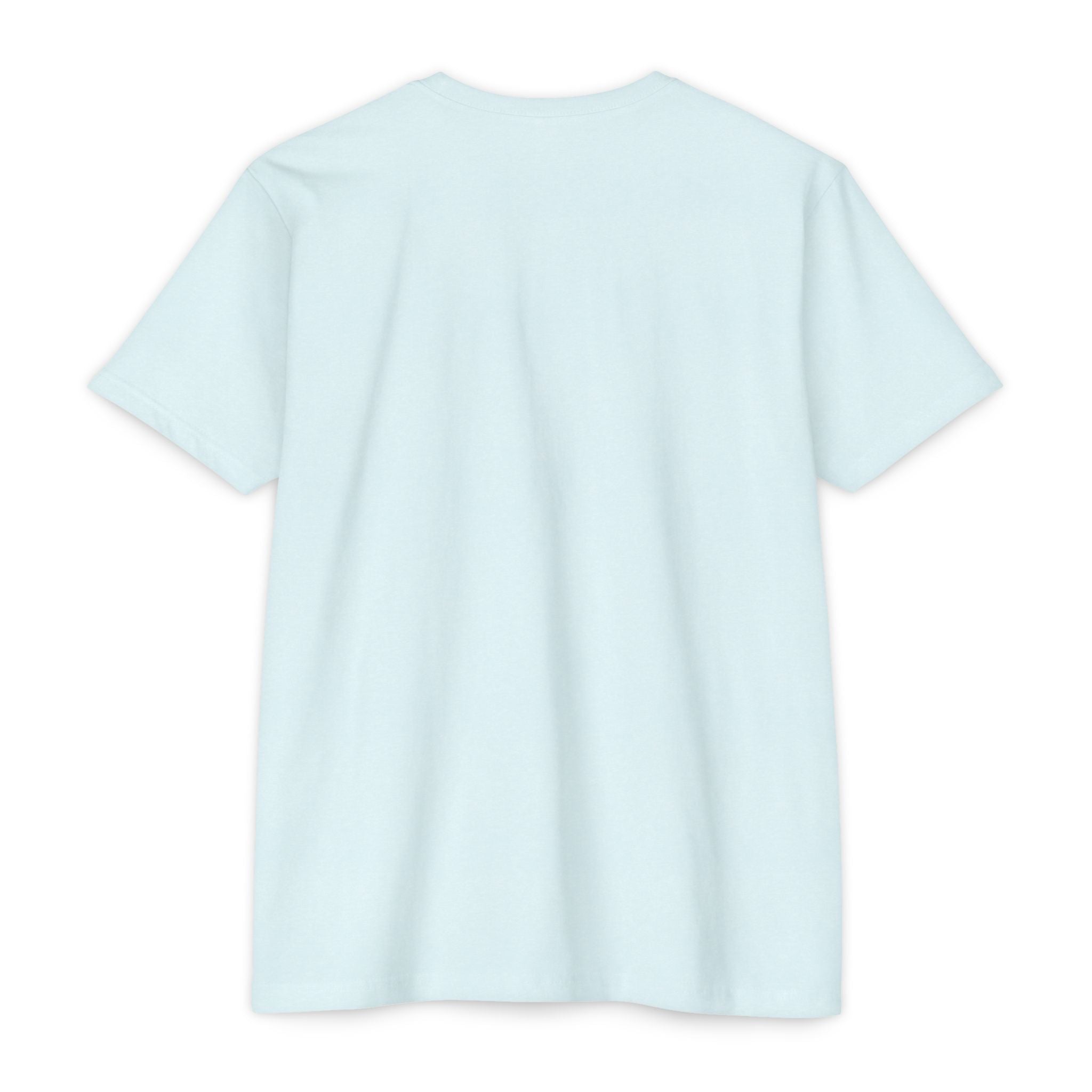 Ice blue T-shirt, crew neck with short sleeves, plain front.
