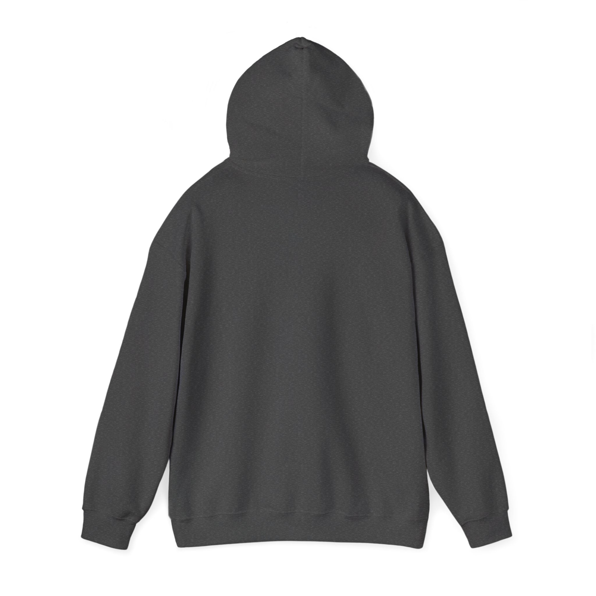 Gray hoodie sweatshirt with hood and long sleeves, plain back view.