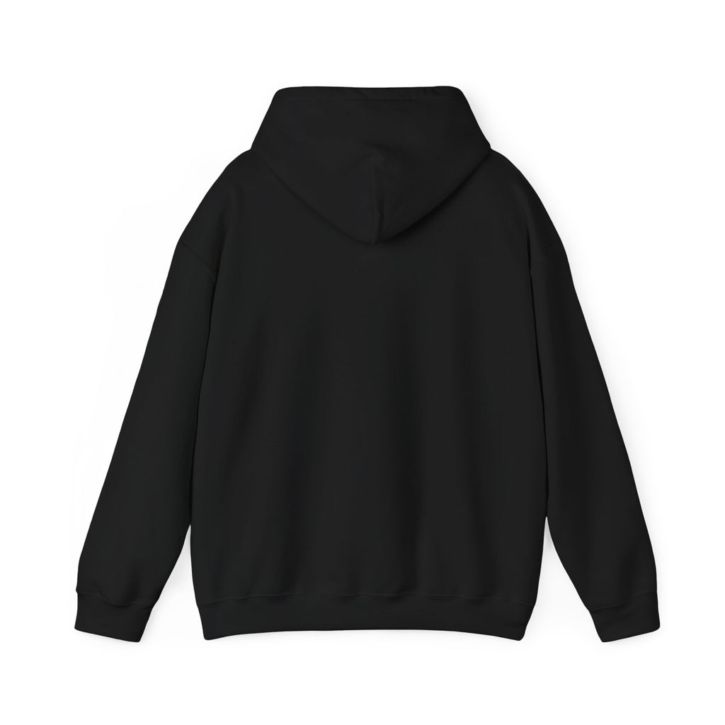 Black hoodie with hood and long sleeves, shown from the back