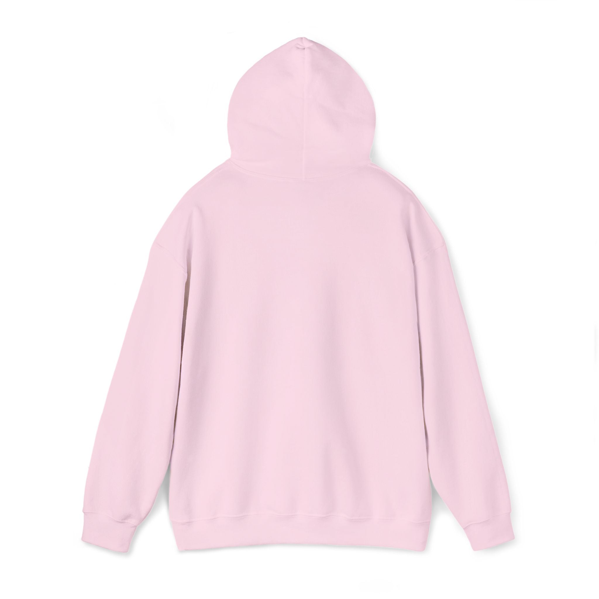 Light pink pullover hoodie shown from back with hood and long sleeves
