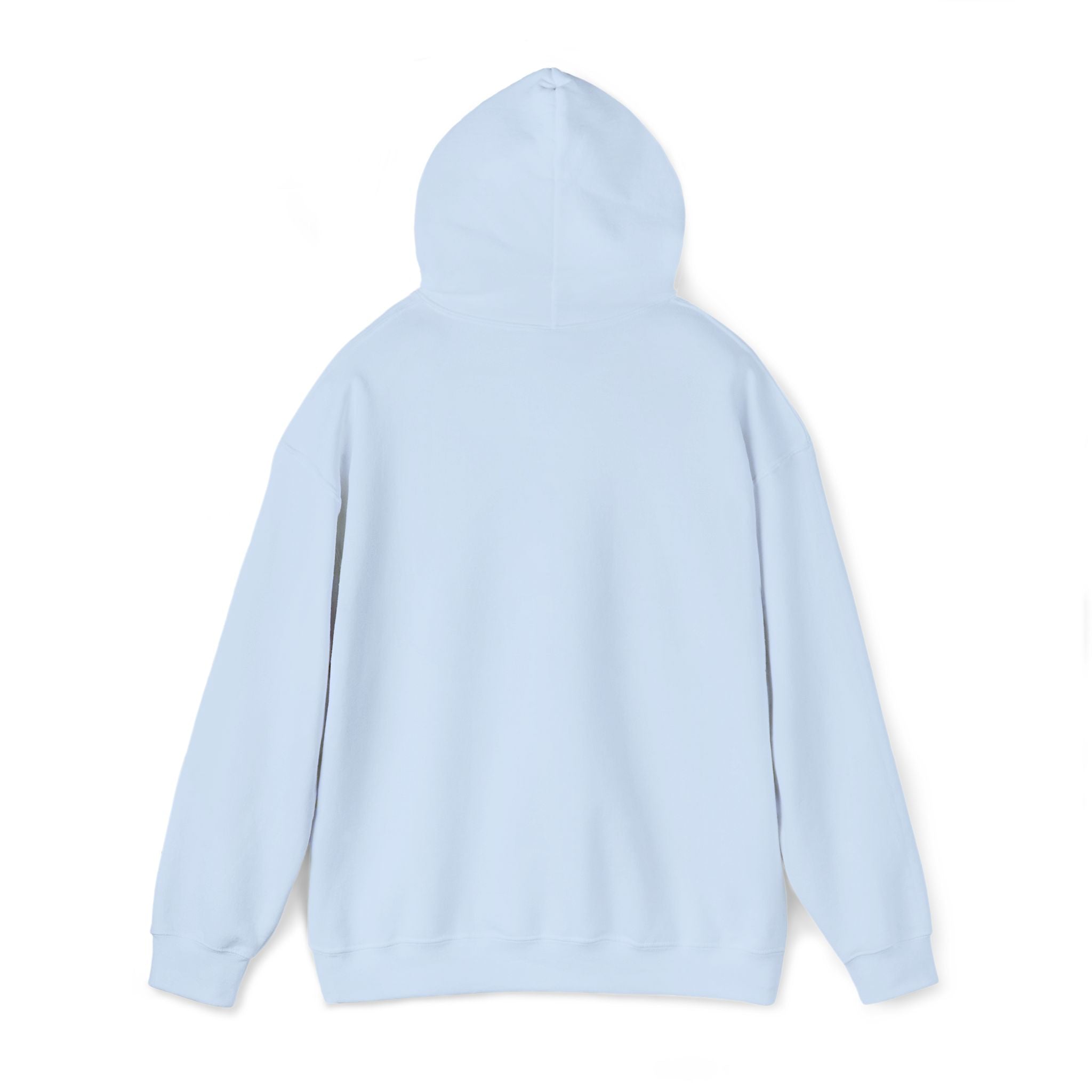 Light blue pullover hoodie back view with drawstring hood and ribbed hem