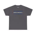 Charcoal patriot stripe T-shirt with PATRIOT logo print and red stars