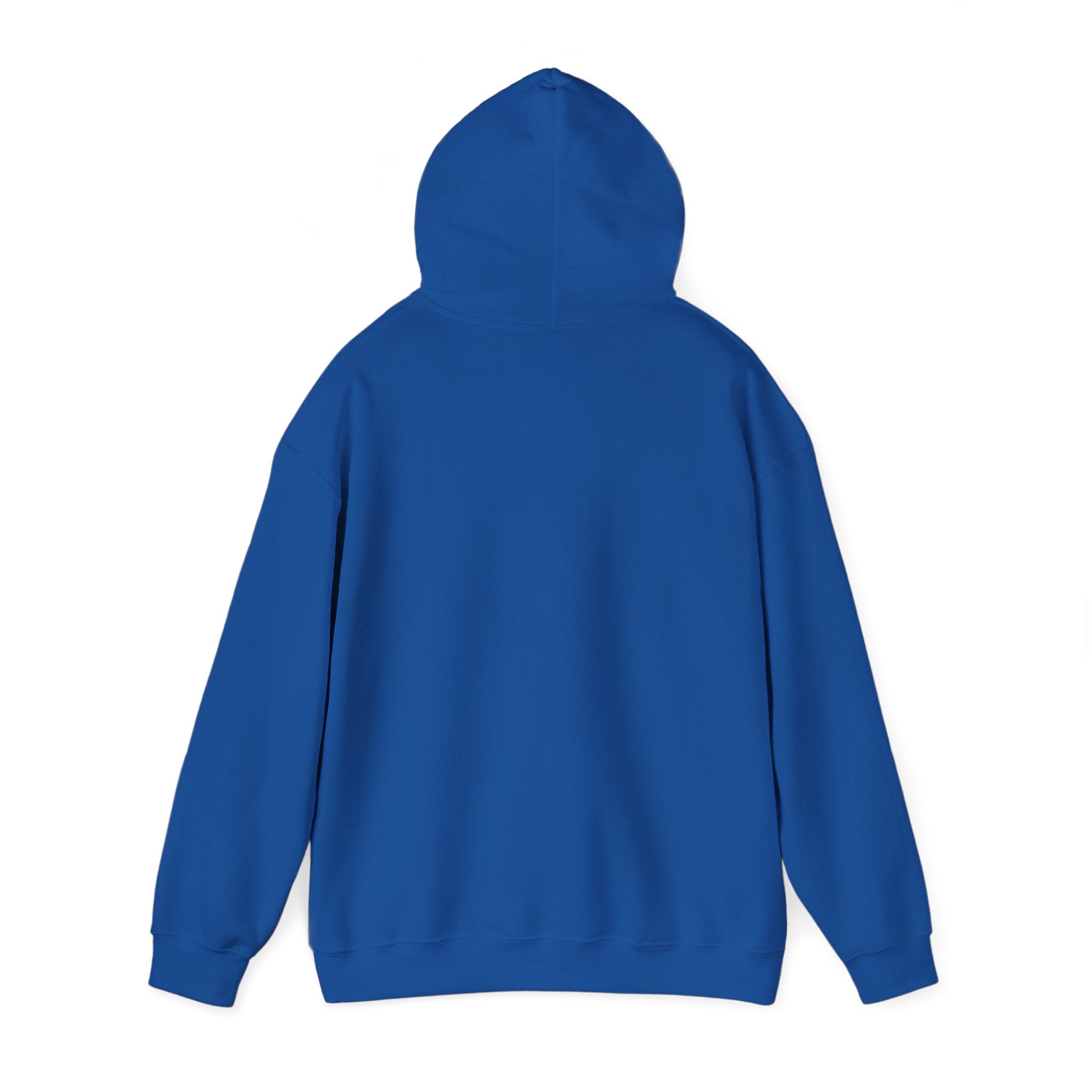 Royal blue pullover hoodie with hood and long sleeves, back view