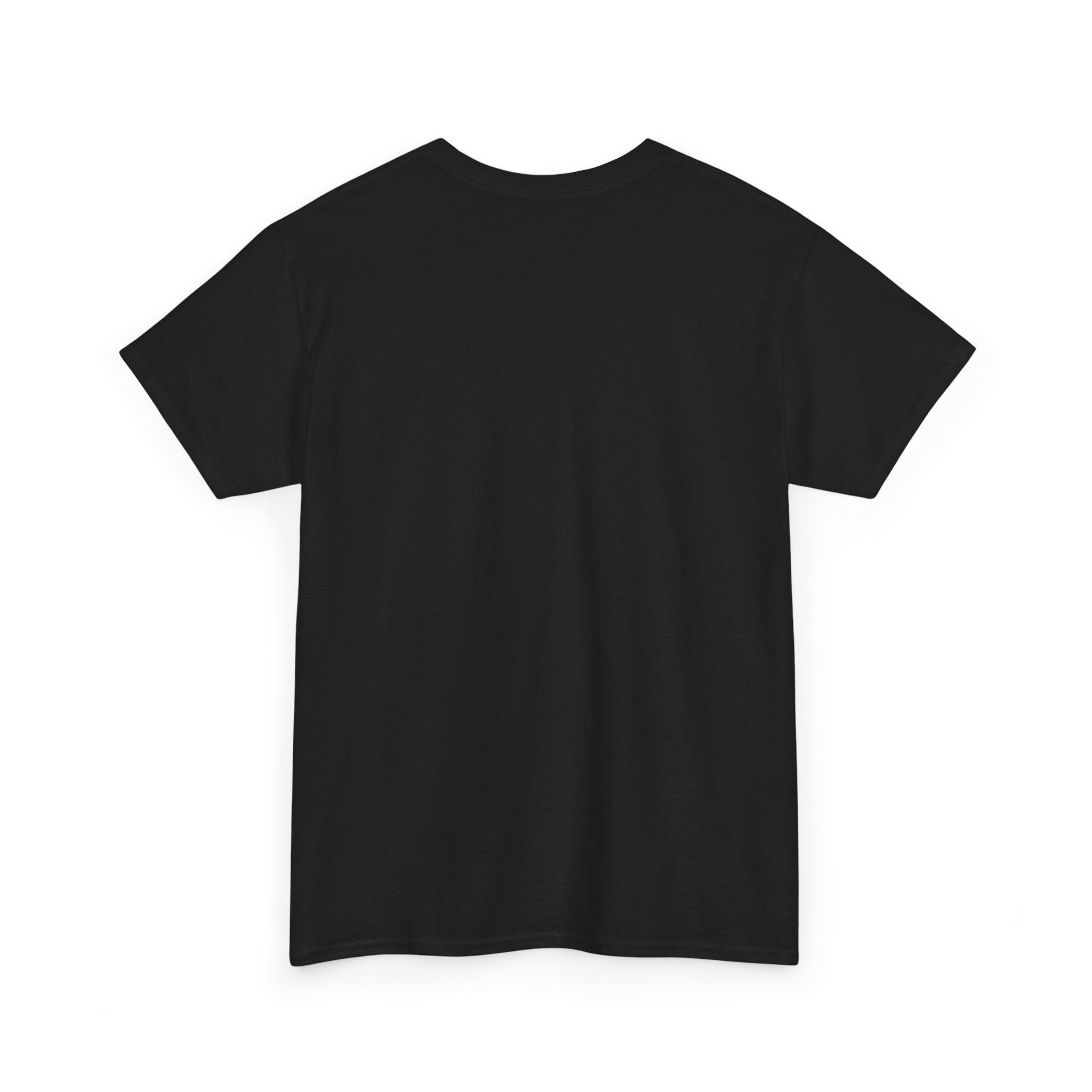 Black unisex T-shirt, crew neck, short sleeves, plain back view.