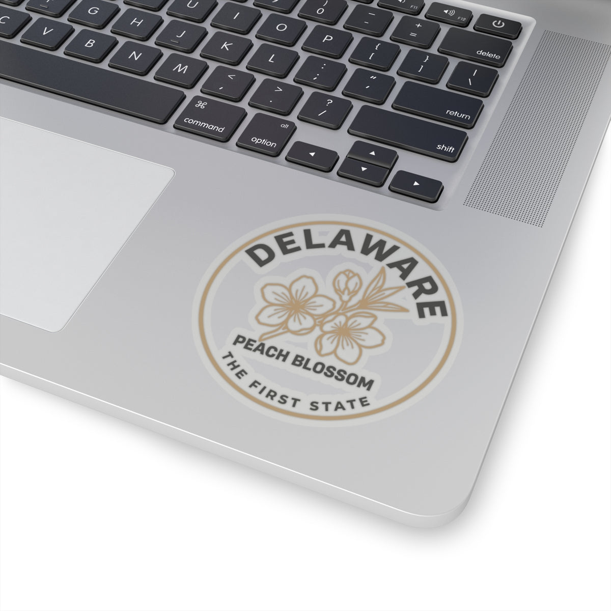 Transparent vinyl circular decal centered on laptop: DELAWARE PEACH BLOSSOM