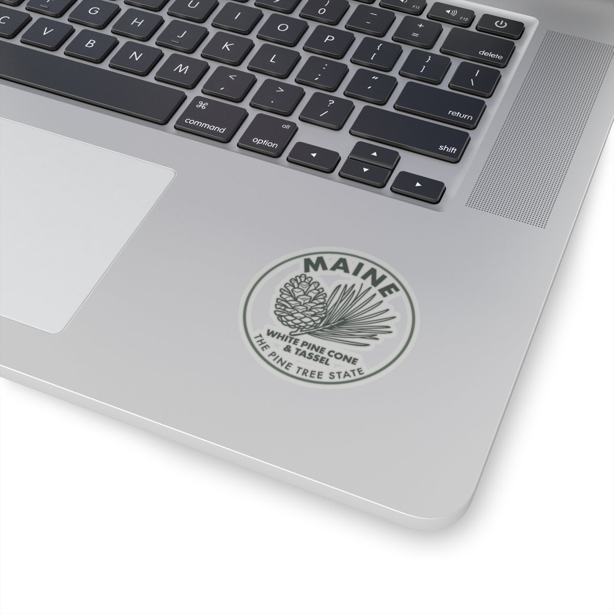 Maine white pine cone and tassel sticker on laptop lid, circular transparent vinyl decal