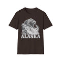 Dark brown graphic t-shirt with grizzly bear and ALASKA text print