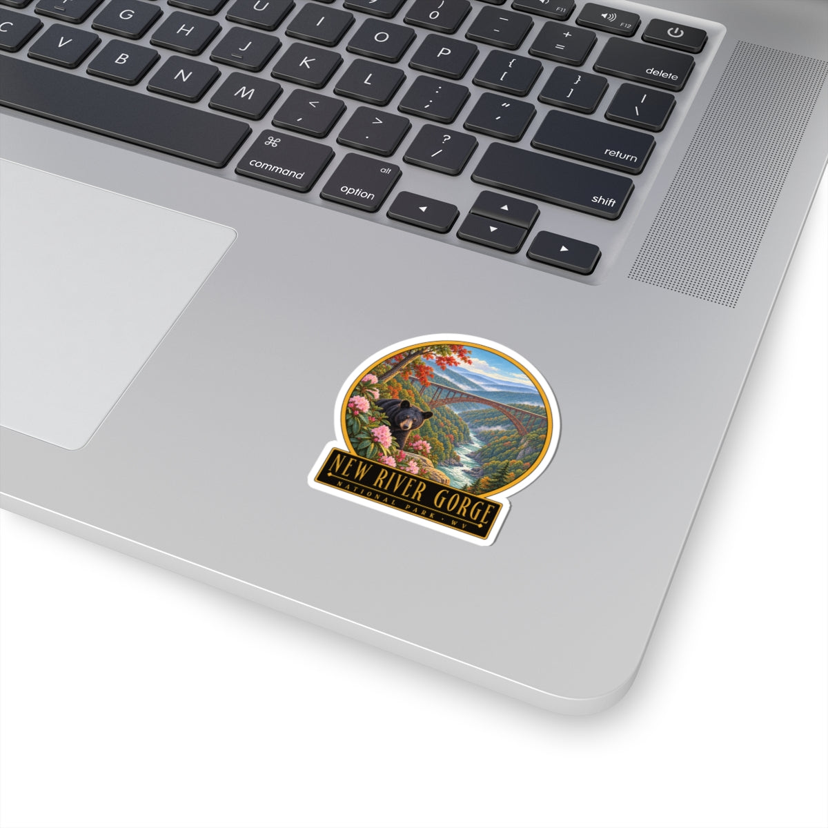 Bear and river gorge sticker with colorful circle and black label border