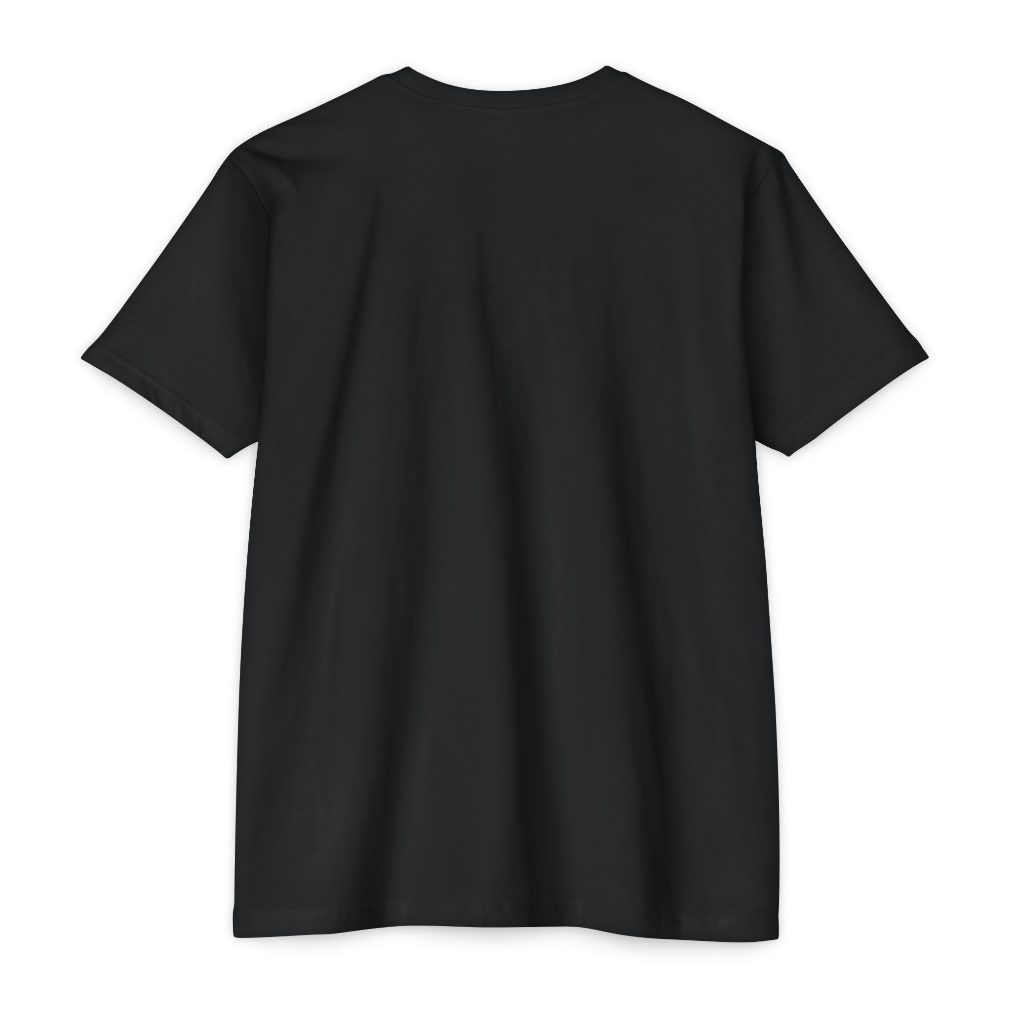 Black unisex T-shirt with crew neck and short sleeves, no graphic on front.