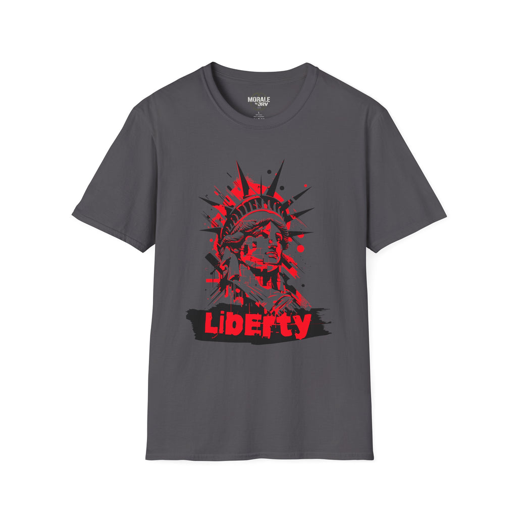 Liberty Statue graphic tee, charcoal: rotes Statue-Printmotiv vorn