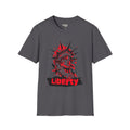 Liberty Statue graphic tee, charcoal: rotes Statue-Printmotiv vorn