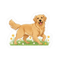 Walking golden retriever sticker with white outline and daisies in grass background