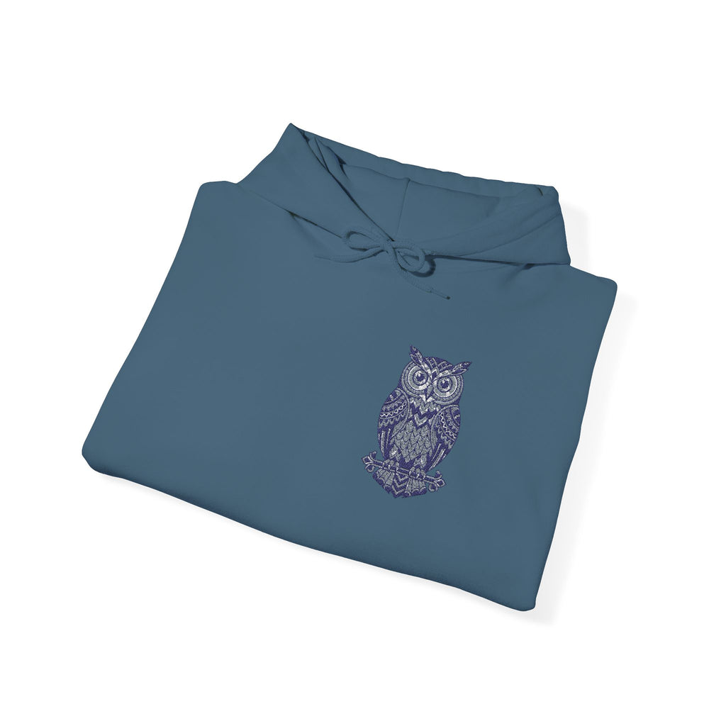 Teal unisex owl hoodie, small owl chest graphic and drawstring hood