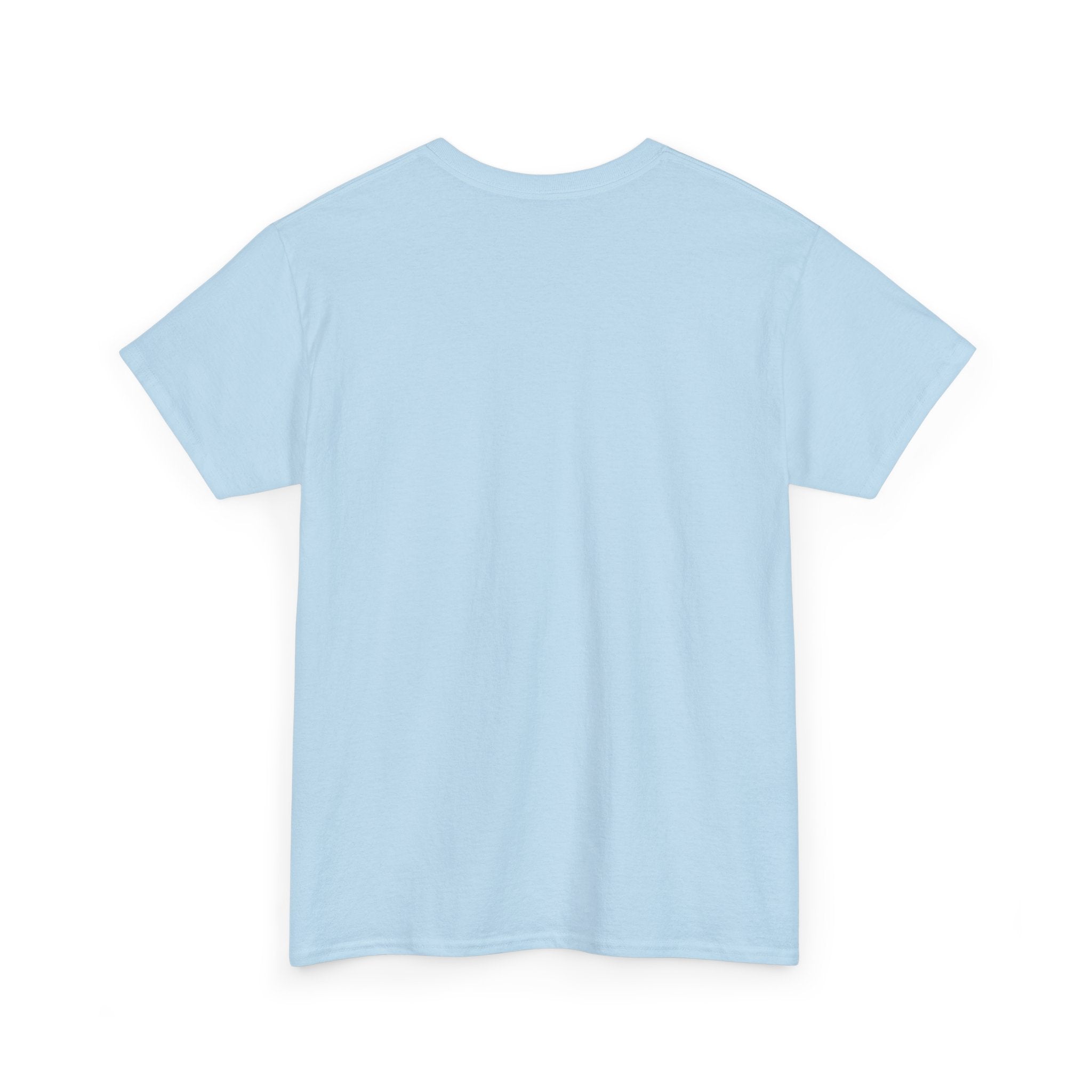 Light blue T-shirt, short-sleeve crewneck, plain back.