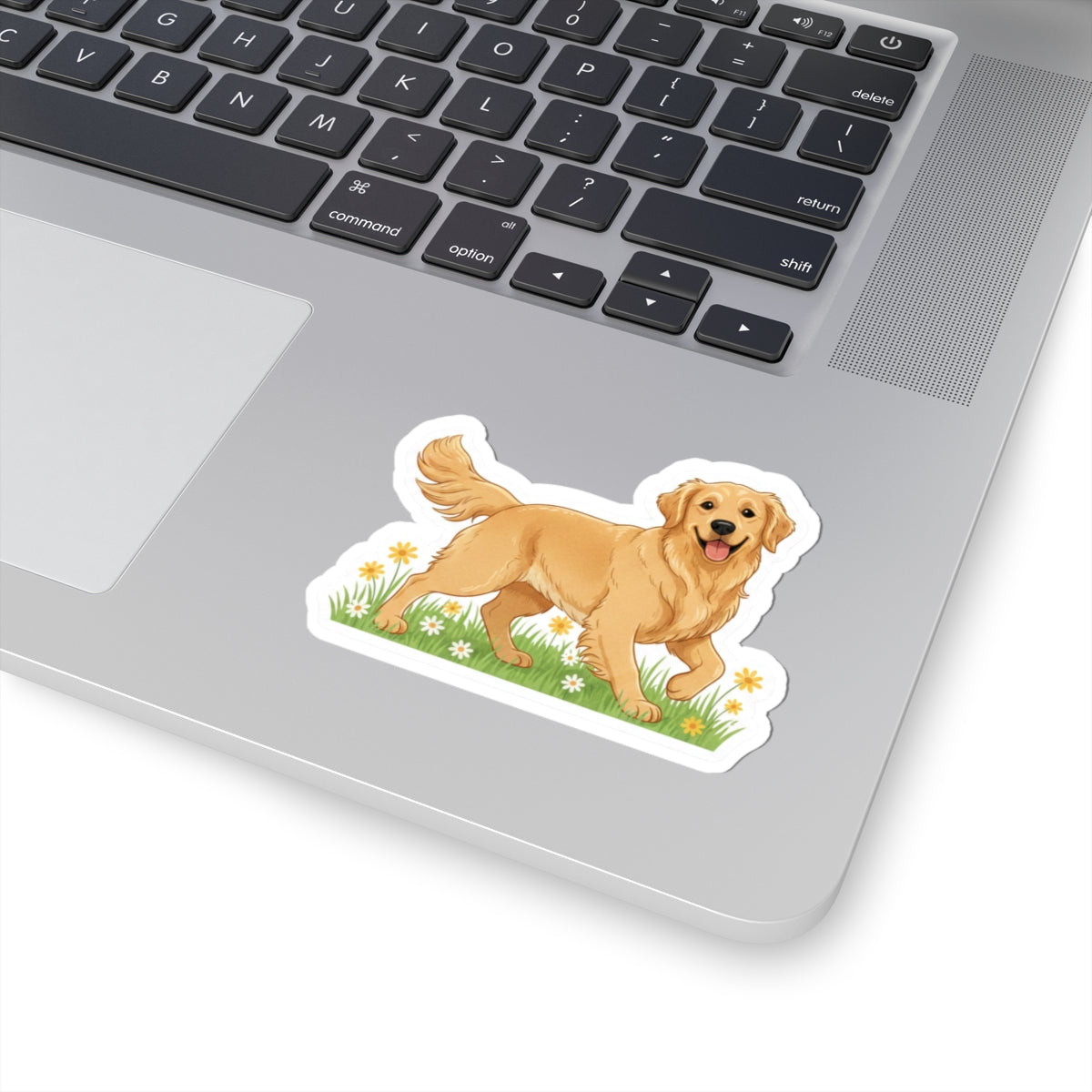 Golden retriever walking sticker on laptop keyboard, white border and flower details