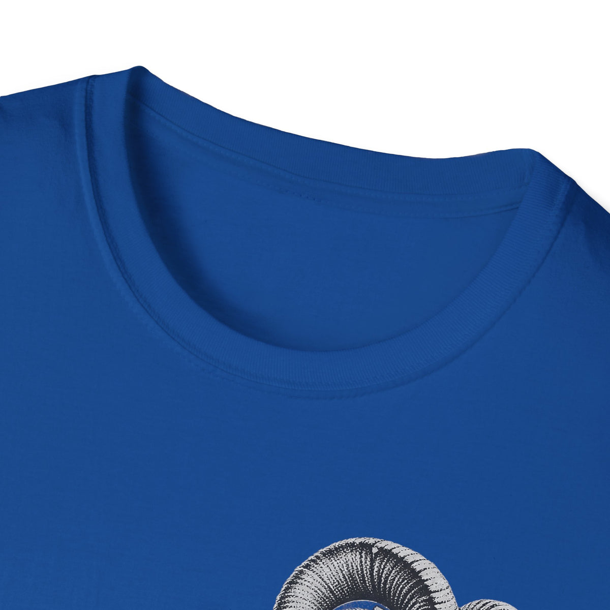 Royal blue crew-neck T-shirt neckline close-up