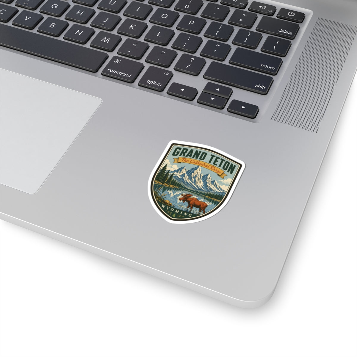 Round vintage travel sticker with mountain, pine forest and blue sky landscape logo