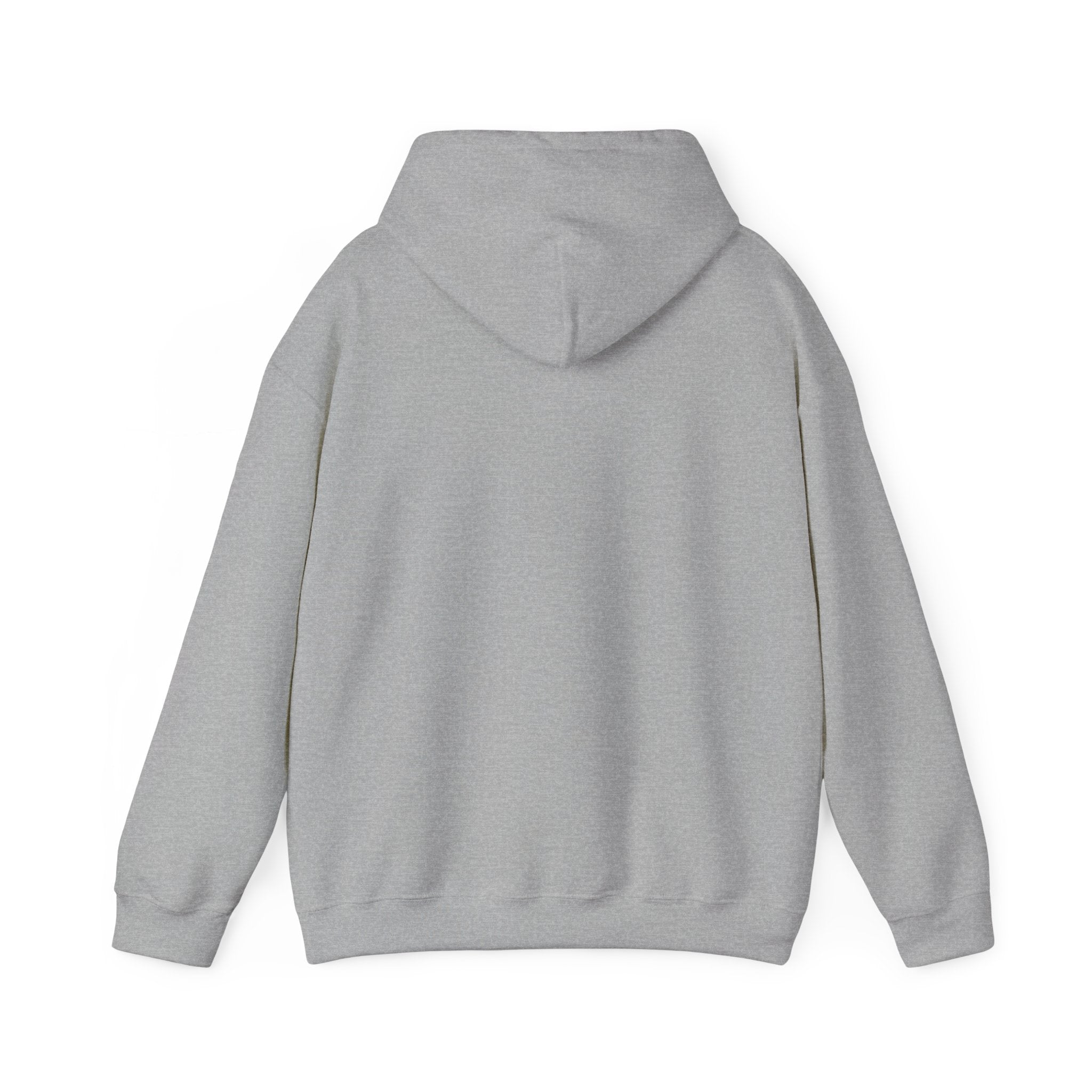 Heather gray hoodie with drawstring hood and ribbed cuffs, no front graphic