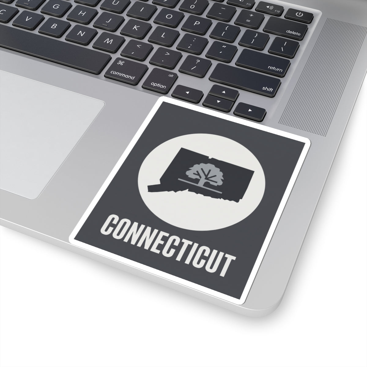 Connecticut state tree silhouette sticker on a laptop, dark square with white circle