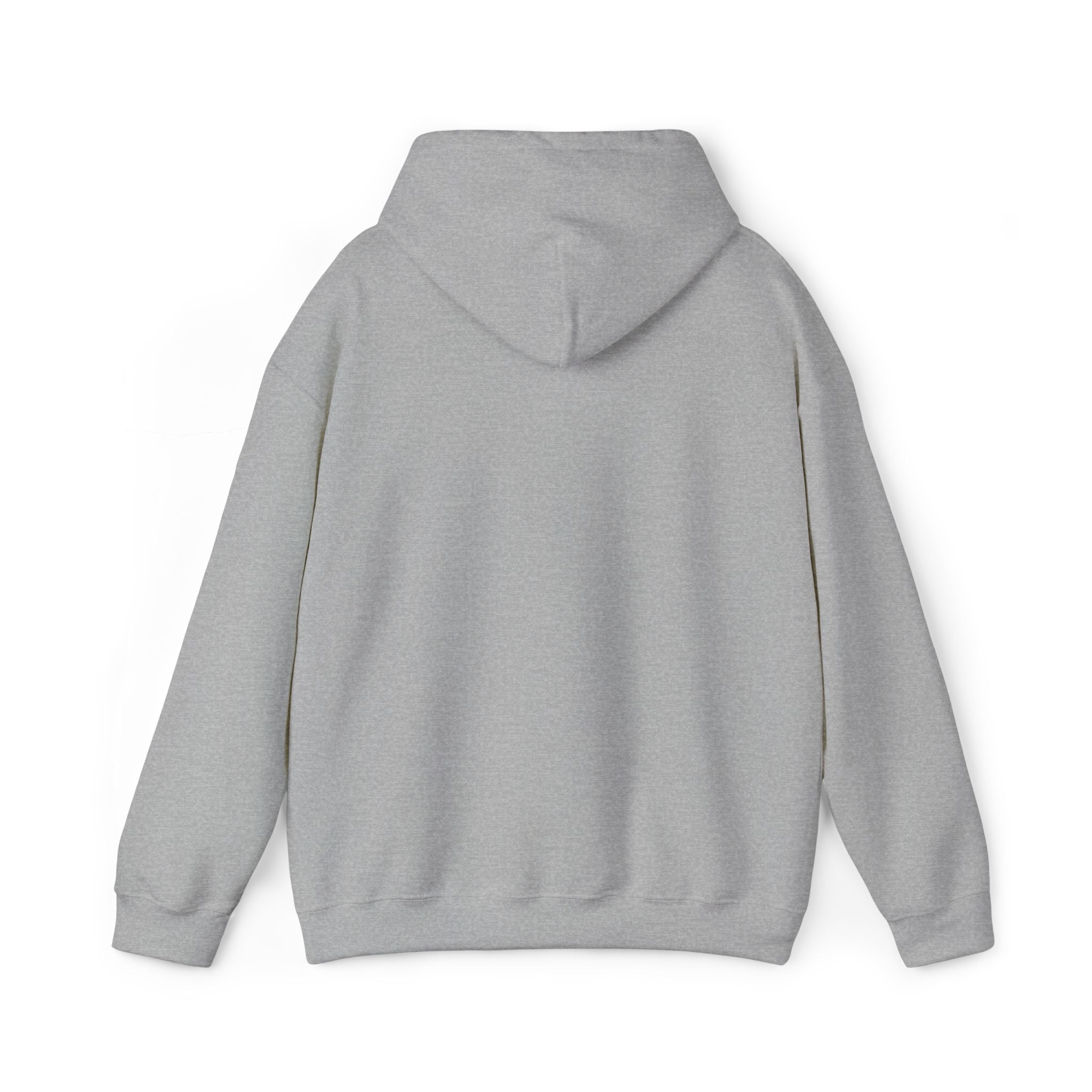 Light gray hoodie sweatshirt with kangaroo pocket and hood, shown from the back