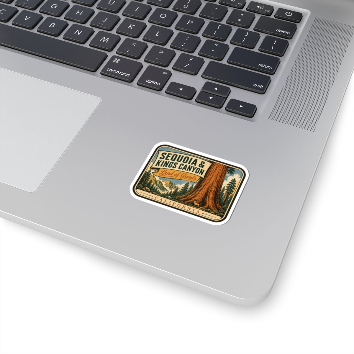 Travel sticker with Sequoia & Kings Canyon text and framed redwood tree design