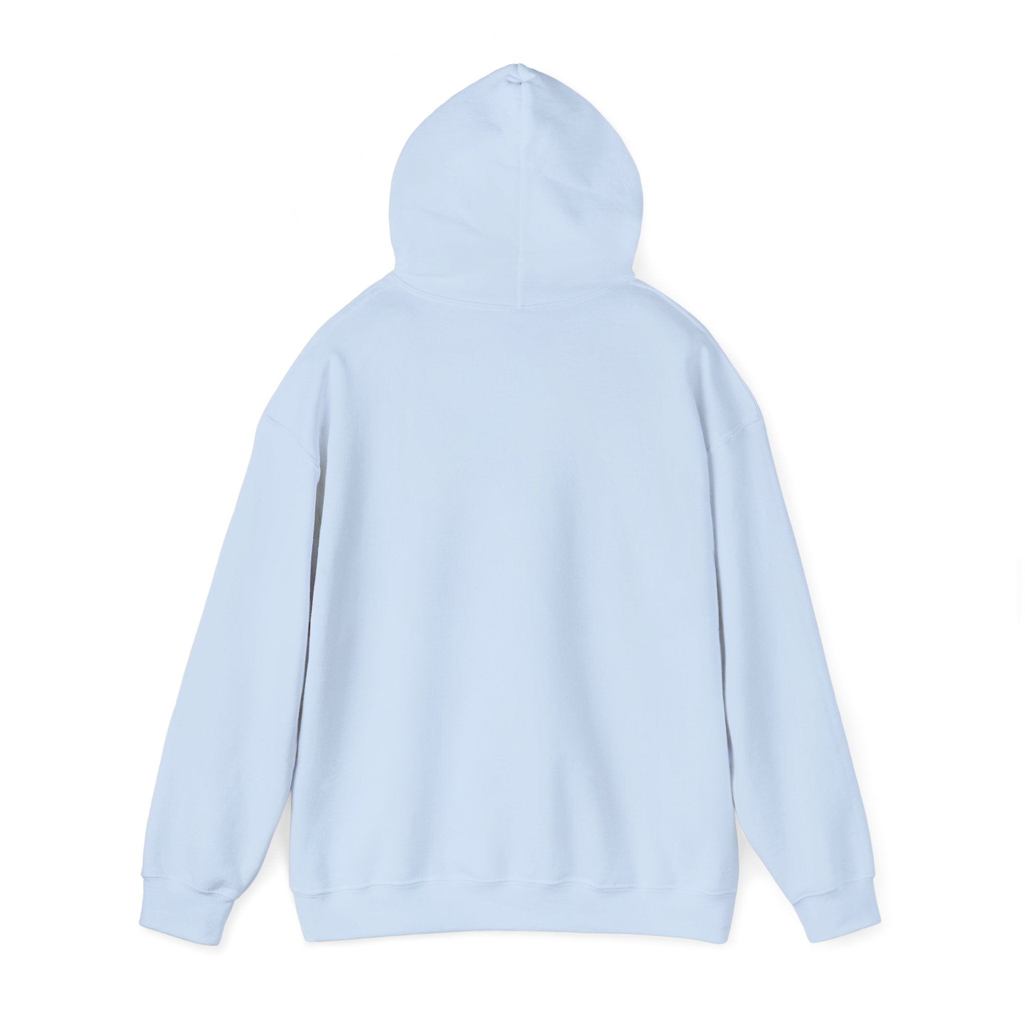 Light blue hoodie back view with pullover hood and kangaroo pocket