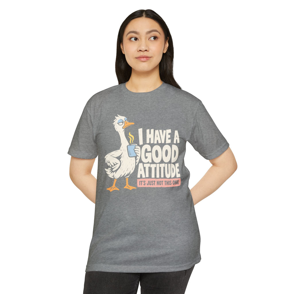 Heather gray graphic t-shirt with white goose and orange attitude slogan on front