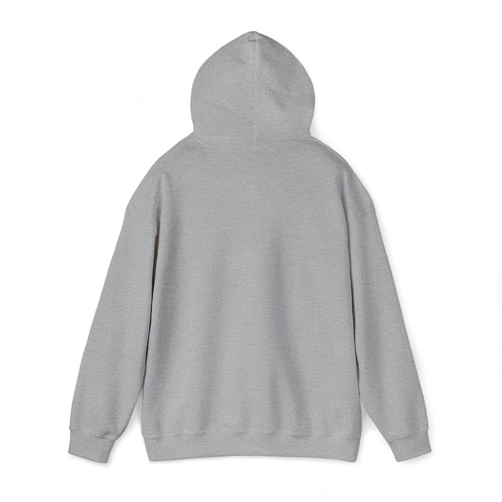 Light gray hoodie sweatshirt with drawstring hood, shown from the back