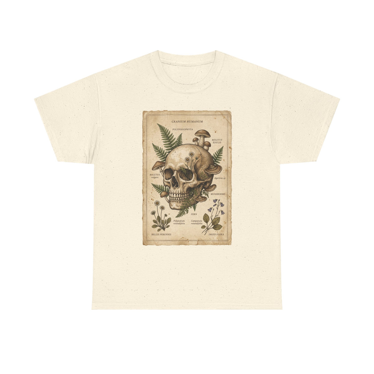 Cream crew-neck graphic skull tee with vintage botanical fern label print