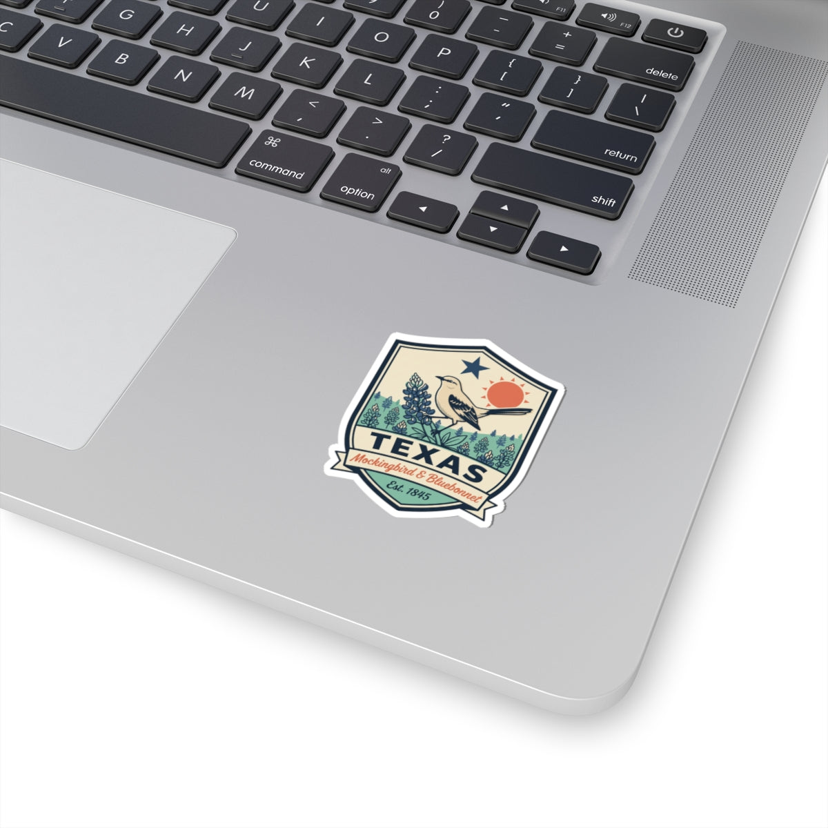 Texas state badge vinyl sticker with mockingbird and bluebonnet art