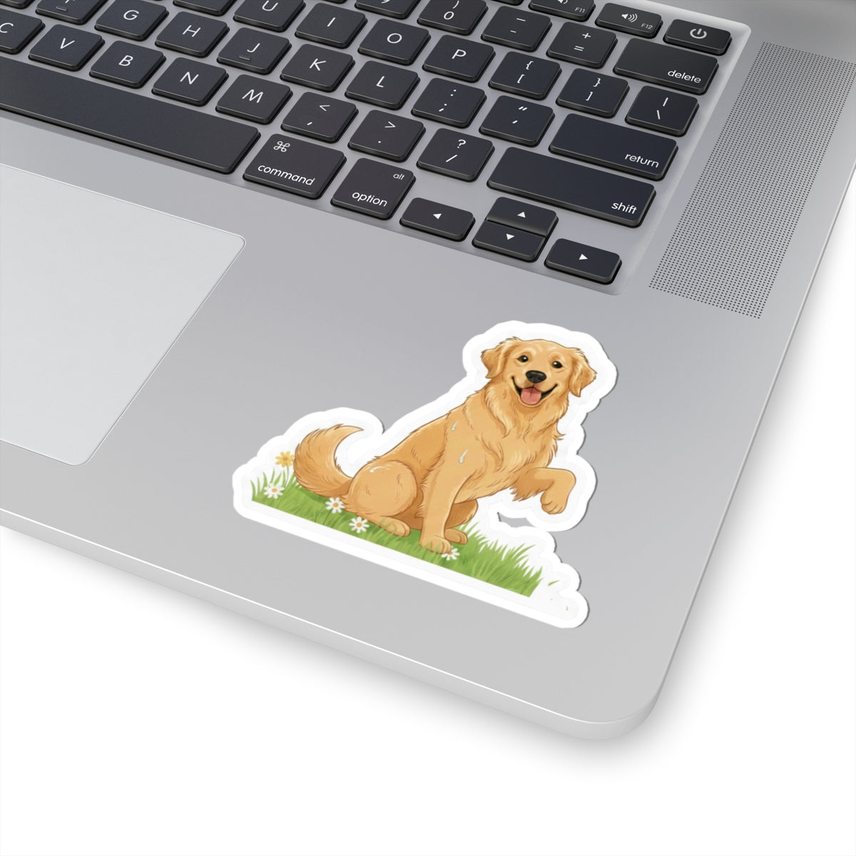 Golden Retriever sit and shake decal on laptop, sitting tan dog in grass