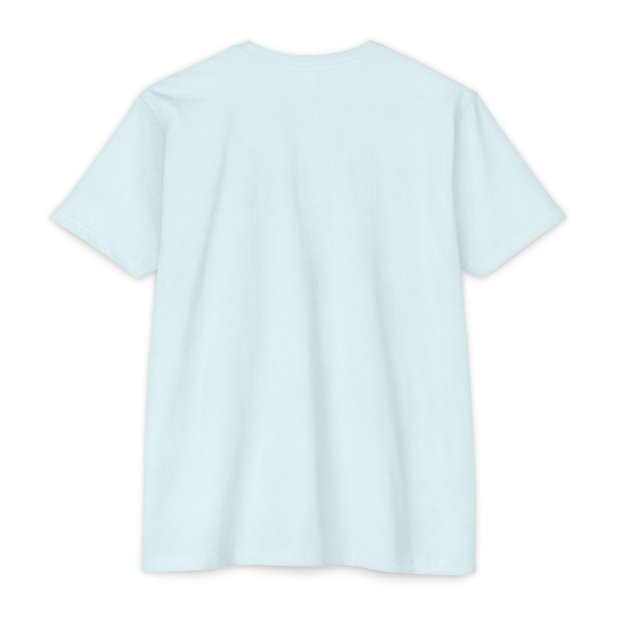 Light blue short-sleeve t-shirt, crew neck, plain front.